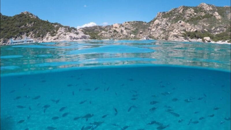 La Maddalena Arcipelago: sailing tour among the Islands - What Makes This Tour Special?