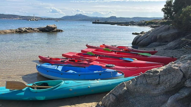 La Maddalena: Kayak Tour with Guide - Price and Practical Considerations