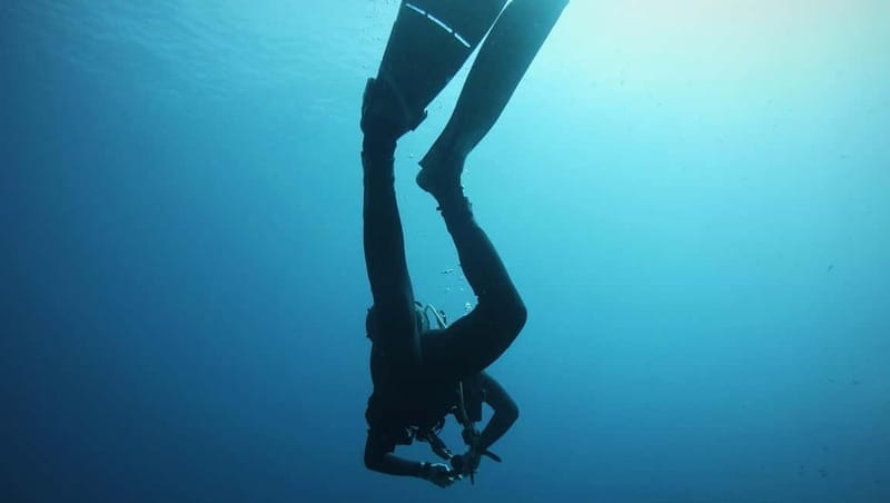 La Maddalena & Lavezzi: Full-Day Boat Scuba Diving Trip - Final Thoughts: Who Should Consider This Trip?