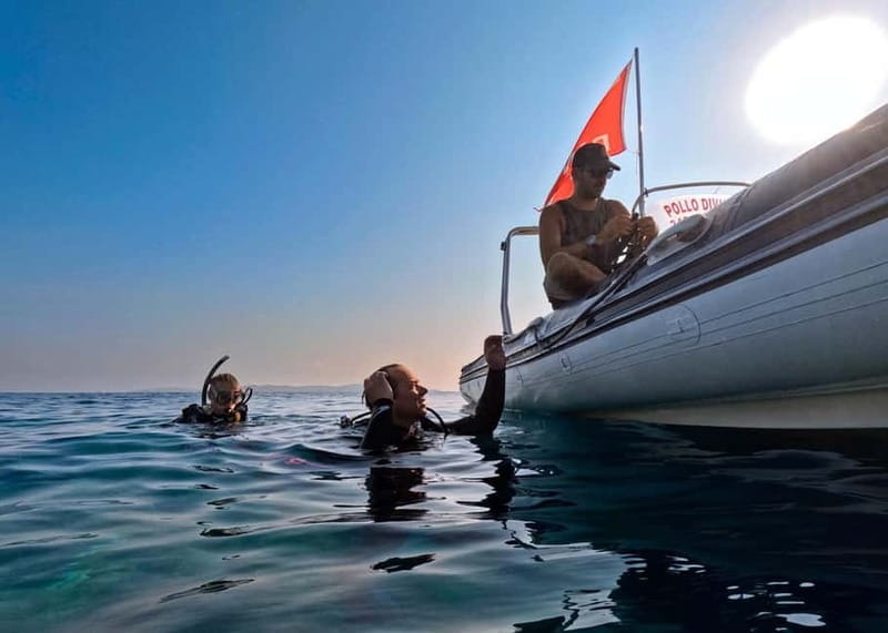 La Maddalena & Lavezzi : scuba diving for certified divers. - FAQs