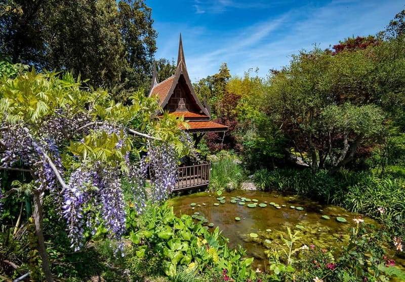 La Mortella Gardens excursion from Ischia - Key Points / Takeaways