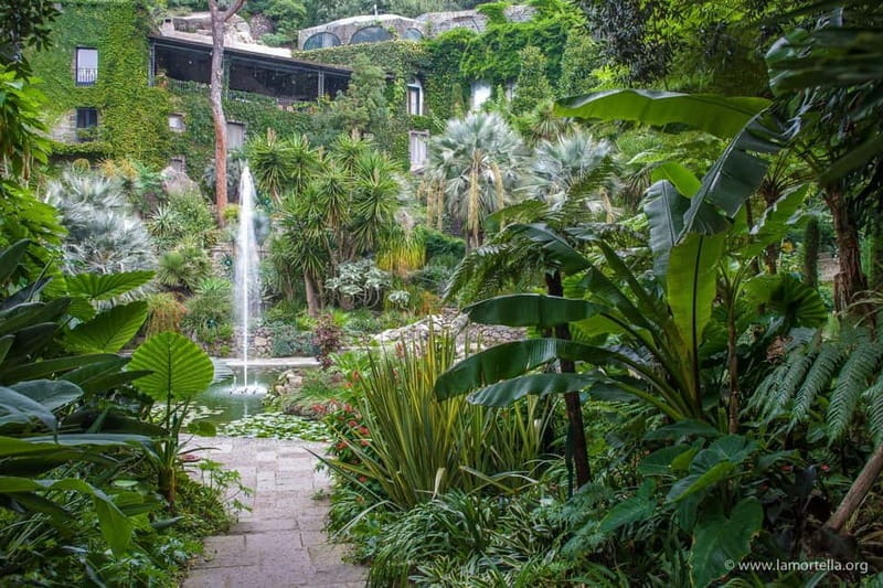 La Mortella Gardens excursion from Ischia - Entering The Botanical Paradise