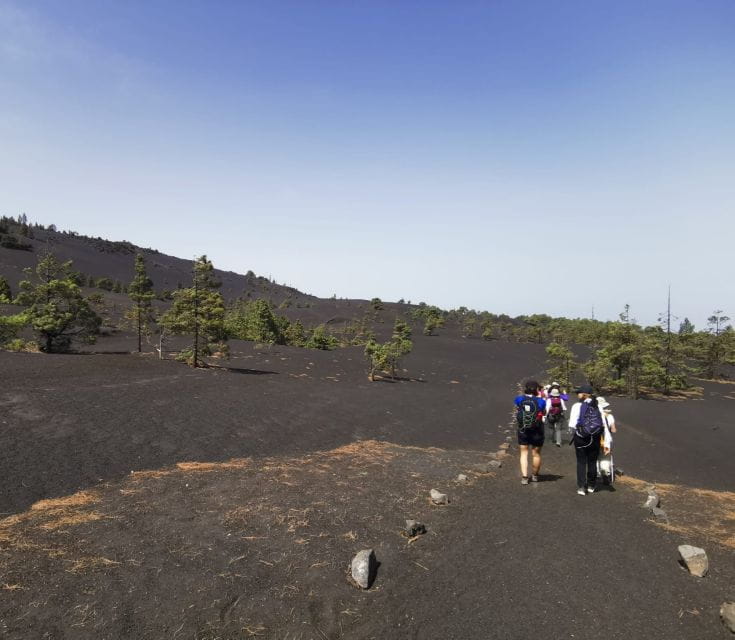 La Palma: Guided Tour to Tajogaite Volcano With Transfer - Itinerary Highlights