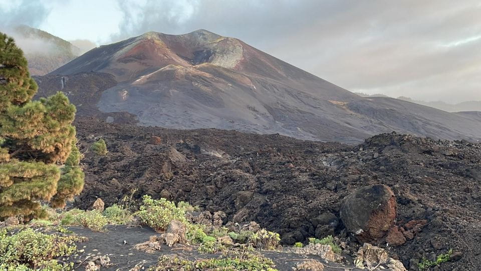 La Palma: Guided Tour to Tajogaite Volcano With Transfer - Participant Information