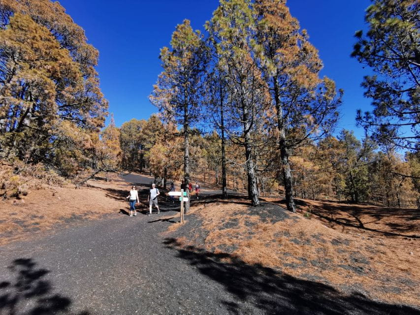 La Palma: Guided Tour to Tajogaite Volcano With Transfer - Preparation Tips