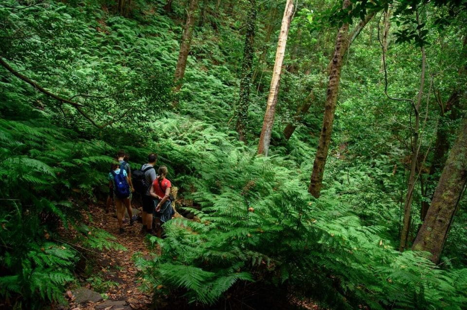La Palma: Guided Trekking Tour to Cubo De La Galga - Inclusions and Meeting Point