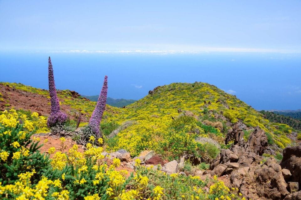 La Palma: Guided Trekking Tour to El Roque De Los Muchachos - Key Points
