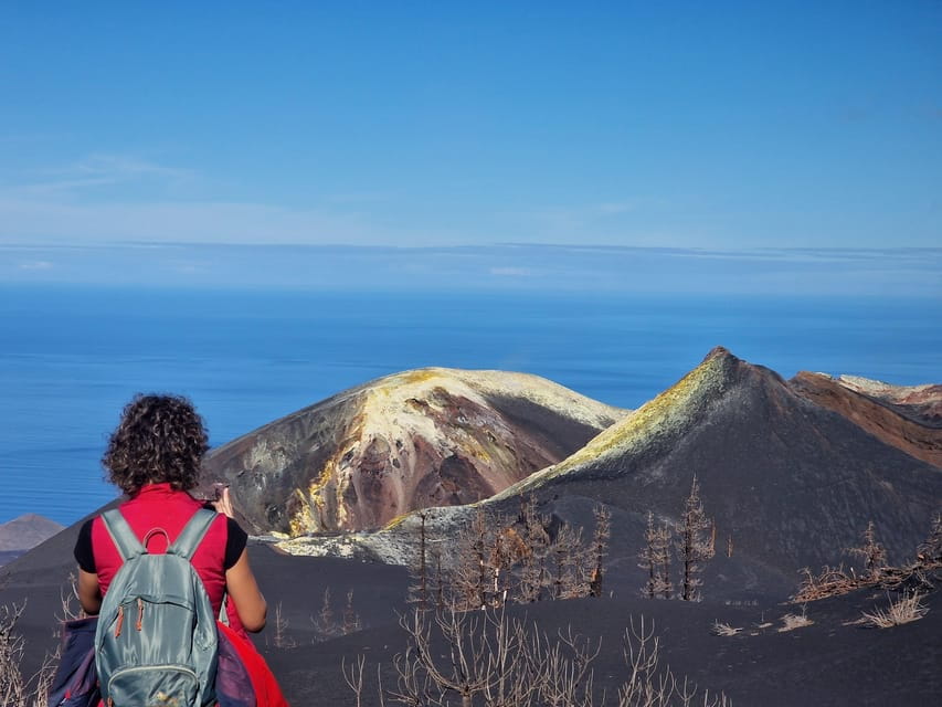 La Palma: Guided Volcano Trekking Tour - Experience the Volcanic Landscape