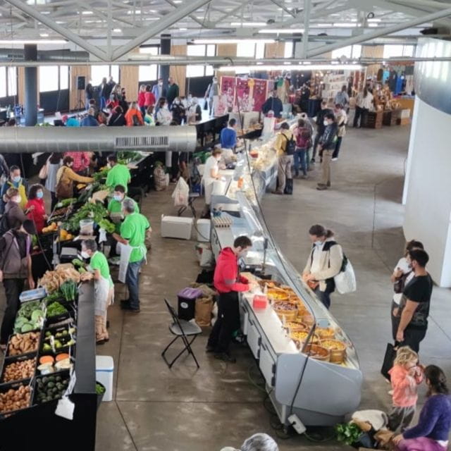 La Palma: Island Highlights Guided Bus Tour - Things To Know