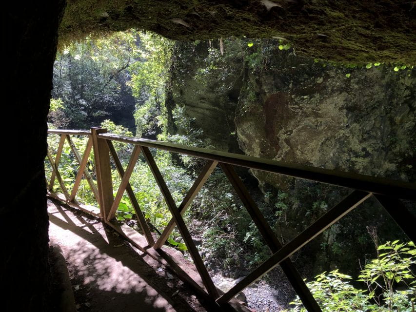 La Palma: North Island Bus Tour With Ron Aldea Distillery - Ron Aldea Distillery Experience