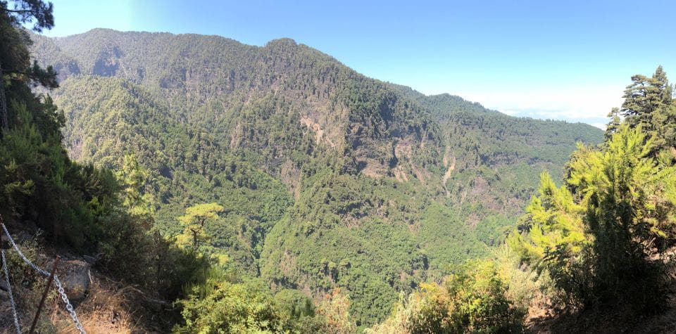 La Palma: Return Bus Transfer to Marcos Y Cordero Springs - Key Points