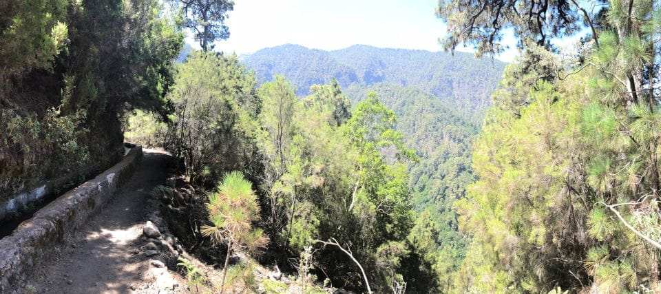 La Palma: Return Bus Transfer to Marcos Y Cordero Springs - Key Features of the Service