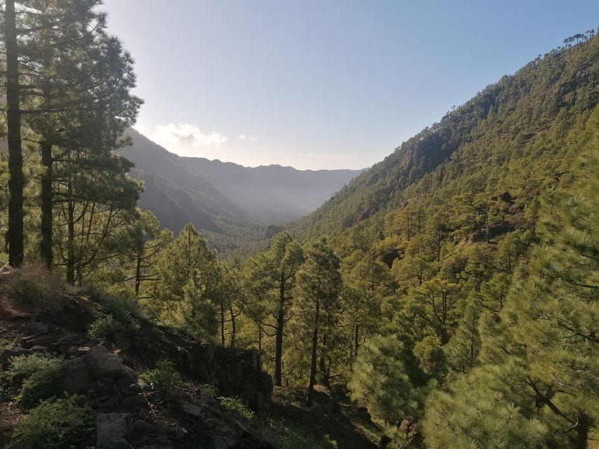 La Palma: South Tour to the Volcanoes by 4x4 Bus - Traditional Salt Mine Visit