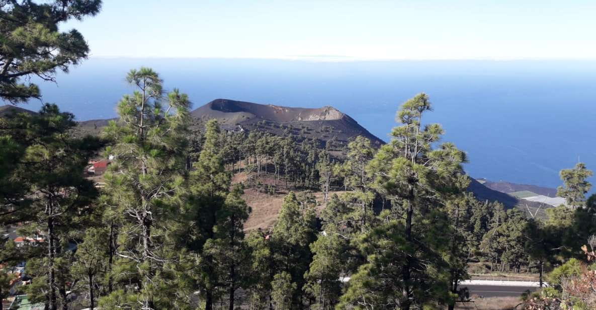 La Palma: South Tour to the Volcanoes by 4x4 Bus - Scenic Viewpoints and Vistas