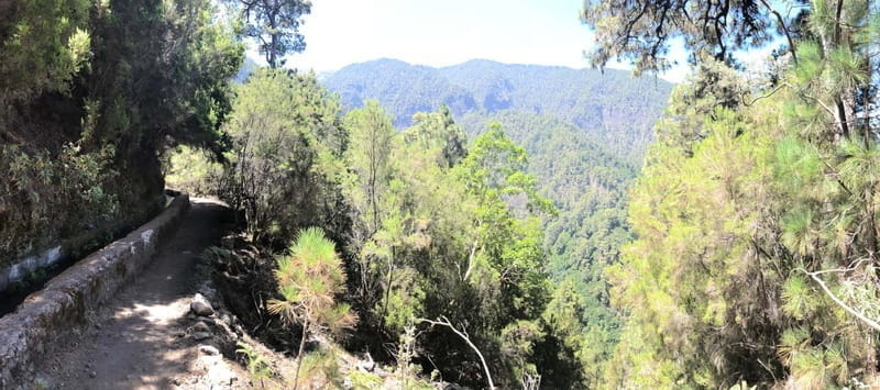 La Palma: Springs Marcos y Cordero Guided Trekking Tour - Key points / Takeaways