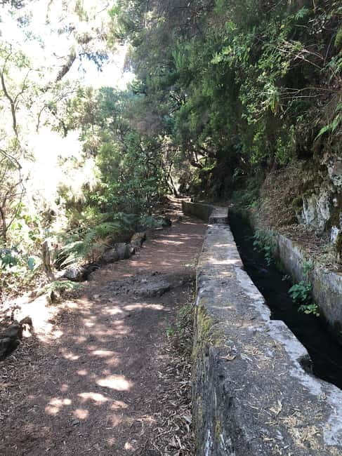 La Palma: Springs Marcos y Cordero Guided Trekking Tour - Who is this Tour Perfect For?
