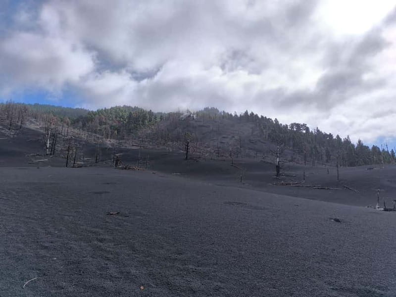 La Palma: Tajogaite Volcano Guided Hike - Exploring La Palma’s Fledgling Lava Fields