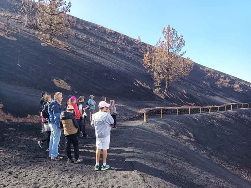 La Palma: Tajogaite Volcano Guided Hike - Practical Details: Timing, Cost, and What to Bring