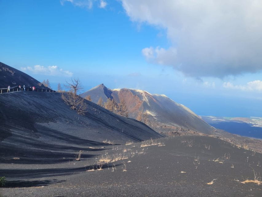 La Palma: Tajogaite Volcano Guided Hike - Essential Booking Information