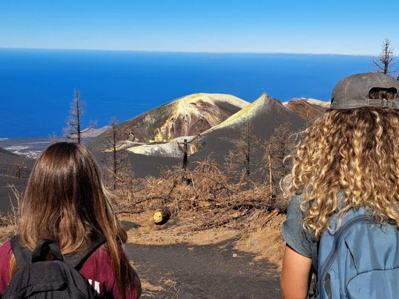 La Palma: Tajogaite Volcano Guided Trek - Price and Value