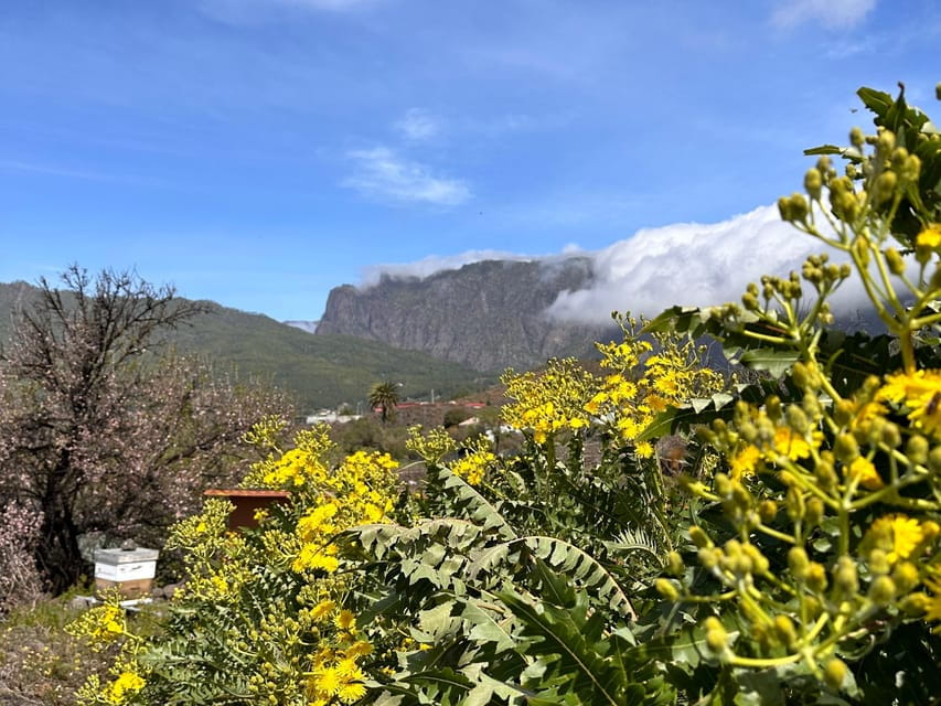 La Palma: Tour of an Ecological Farm With Animals and Tasting - Tasting Local Delicacies