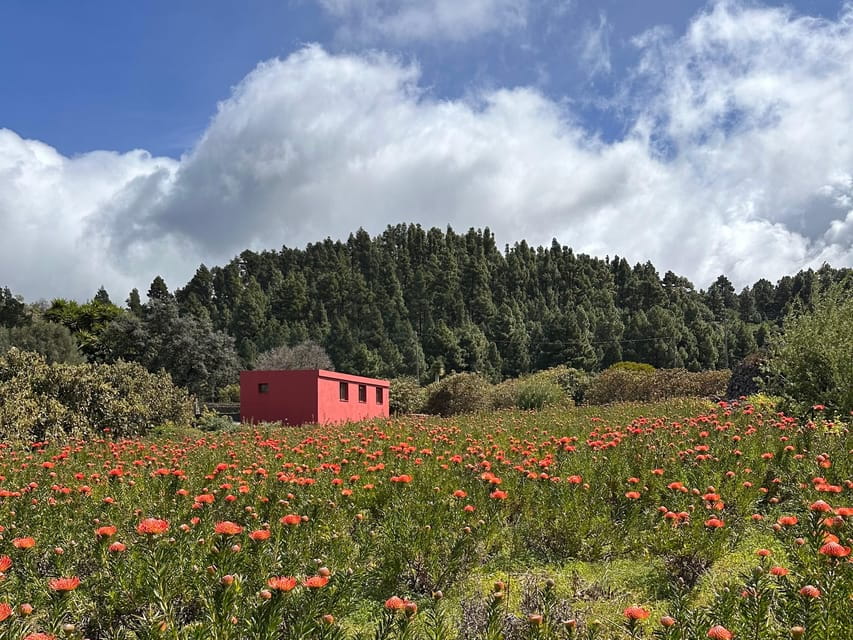 La Palma: Tour of an Ecological Farm With Animals and Tasting - Customer Reviews and Feedback
