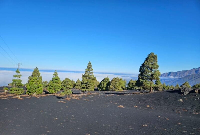 La Palma: Tour to the new Tajogaite volcano 360º. - FAQ