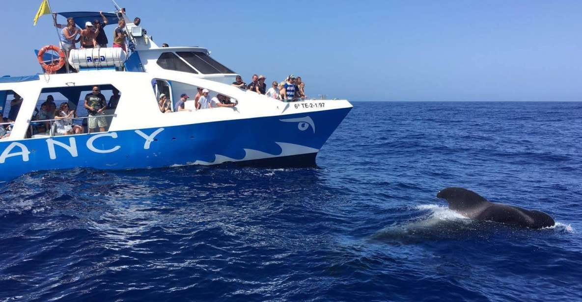 La Palma: Wildlife Viewing and Cumbre Vieja Boat Tour - Highlights and Experiences