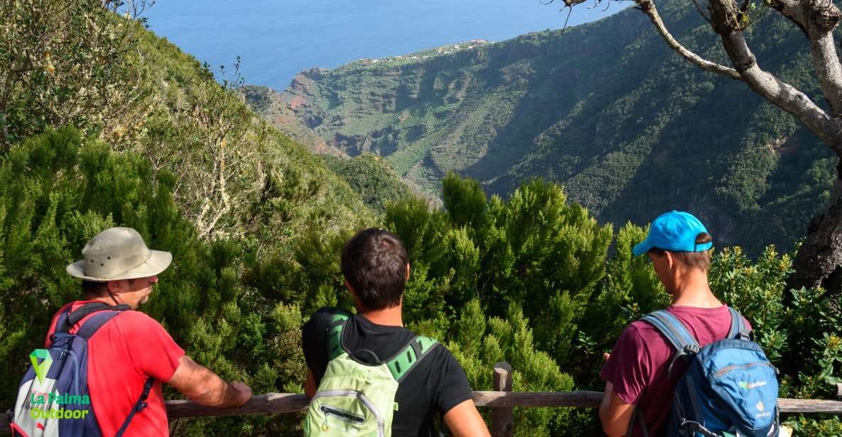 La Palma: Zarza Archaeological Park Guided Trek - Experience Highlights