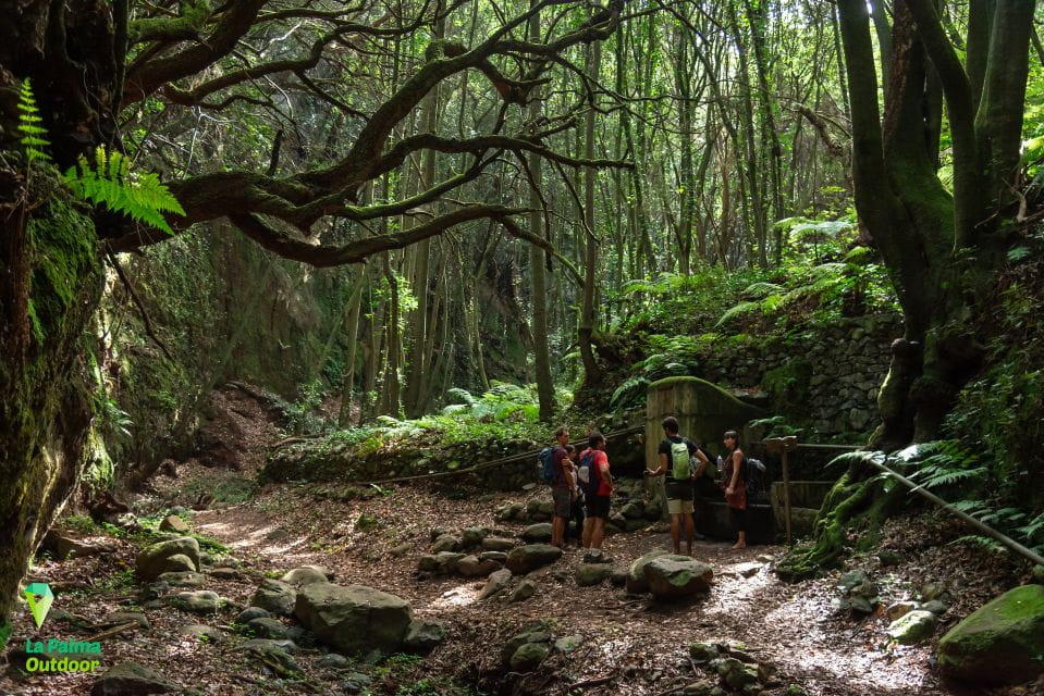 La Palma: Zarza Archaeological Park Guided Trek - What to Expect