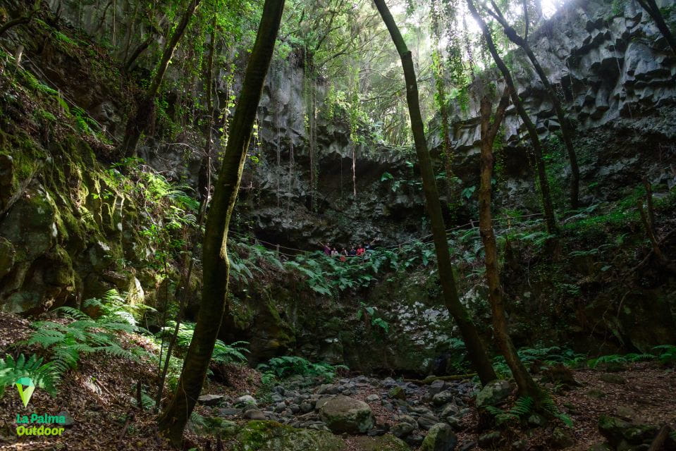 La Palma: Zarza Archaeological Park Guided Trek - Things To Know