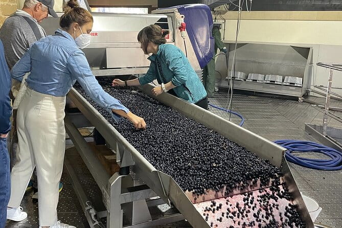 La Rioja Boutique Wine Tour - 2 Wineries & Picnic Lunch (From Bilbao) - Pickup and Drop-off in Bilbao