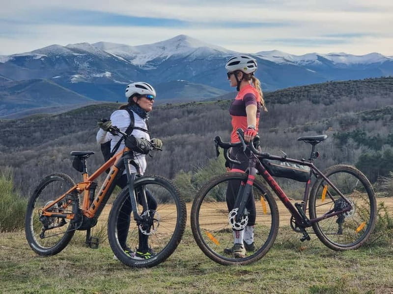 La Rioja: Guided Bike Tour - Exploring La Rioja’s Landscape and History