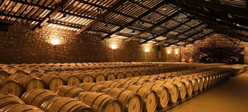 La Rioja: Guided visit to CVNE Winery and wine tasting - The Wines: Quality and Authenticity