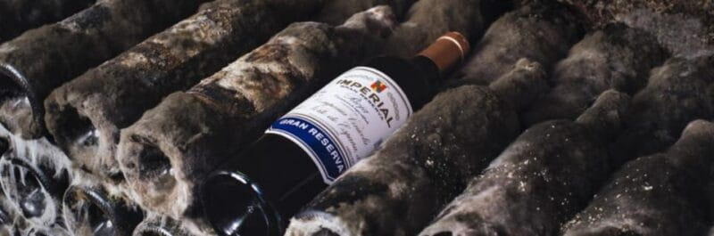 La Rioja: Guided visit to CVNE Winery and wine tasting - Final Thoughts: Is It Worth It?