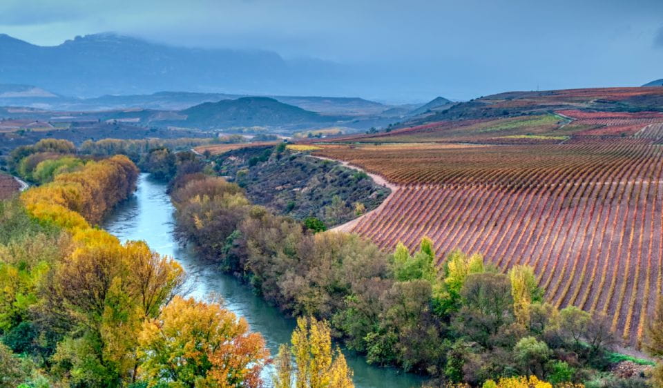 La Rioja: Private Tour to 3 Wineries With Tastings - Alternative Winery Options