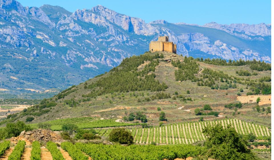La Rioja: Private Tour to 3 Wineries With Tastings - Important Considerations
