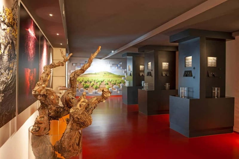 La Rioja: Sensory Experience With Wine Tasting - A Closer Look at the Experience: What to Expect from Start to Finish