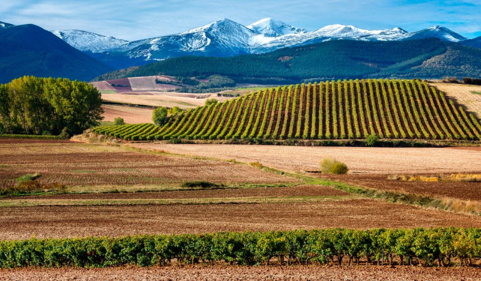 La Rioja Vineyards Private Tour From Bilbao (3 Vineyards) - Inclusions and Exclusions