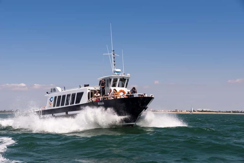 La Rochelle and its 3 ports (1h45) - Exploring La Rochelle’s Ports: The Details