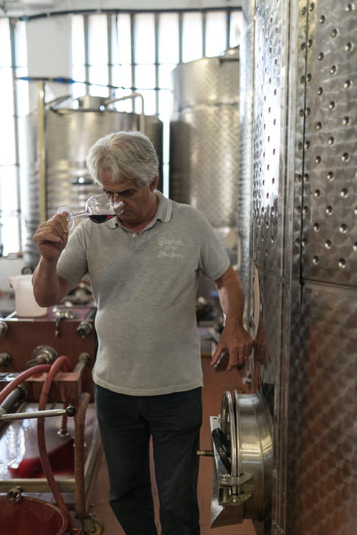 La Spezia: 4 Wines GOLD Degustation - Who Will Love This Experience?