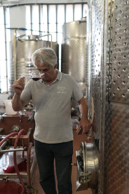 La Spezia: 4 Wines GOLD Degustation - Price and Value Analysis