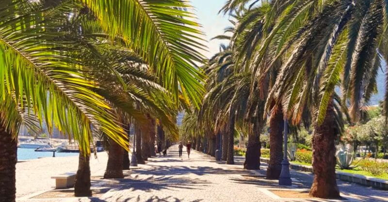 La Spezia: Guided Walking Tour with Italian-Inspired Music - Discover La Spezias Charm with a Musical Twist