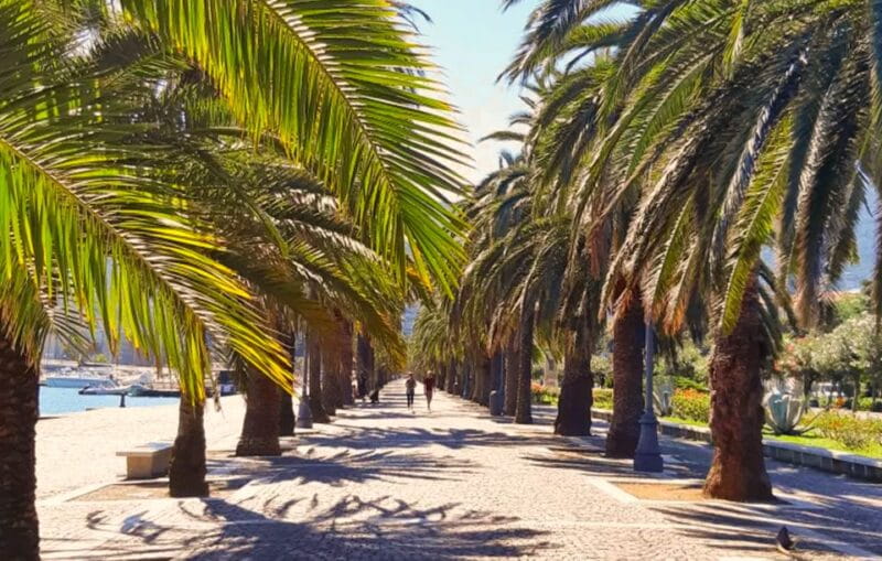 La Spezia: Guided Walking Tour with Italian-Inspired Music - Key Points / Takeaways