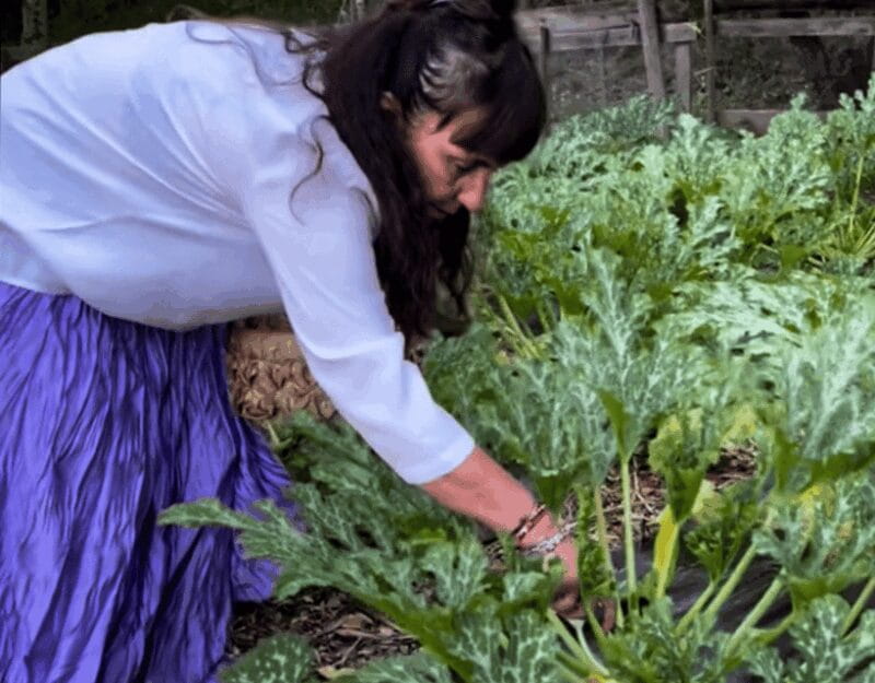 La Spezia: Home Restaurant Experience with Pool Access - FAQs