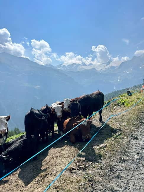 La Thuile: E-Bike ride to Discover Chaz Dura & Lake Verney - Who Will Love This Experience?
