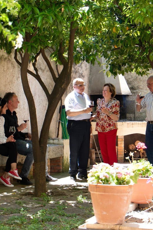 Laconi: visit a winery with wine tasting - Key Points / Takeaways