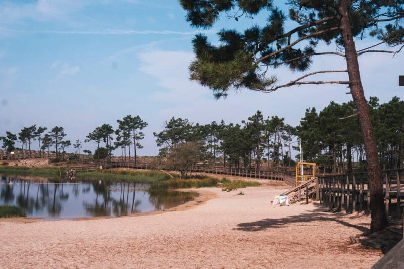 Lagoa da Ervedeira E-bike and Stand Up Paddle tour - Who Is This Tour Best For?