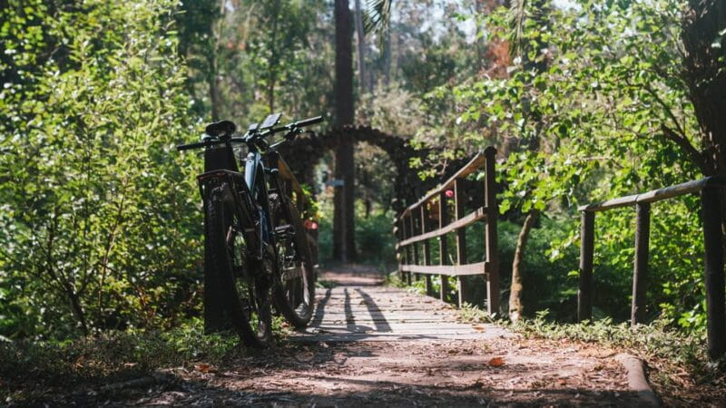 Lagoa da Ervedeira E-bike and Stand Up Paddle tour - Price and Value