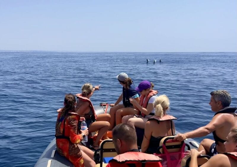 Lagoa: Dolphin Watching & Benagil Tour with Biologist Guide - Why This Experience Stands Out